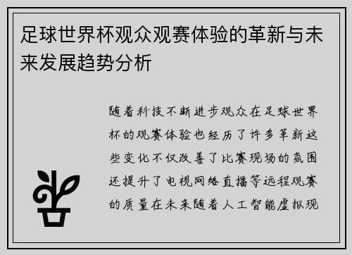 足球世界杯观众观赛体验的革新与未来发展趋势分析